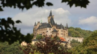 Sachsen-Anhalt vor der: Sachsen-Anhalt vor der Wahl: Das Land hinter den Zahlen