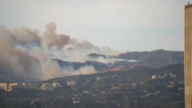 Wildfire