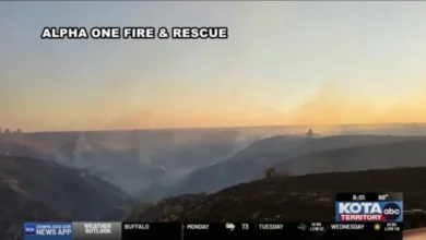 Wildfire
