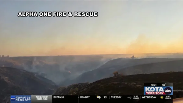 Wildfire