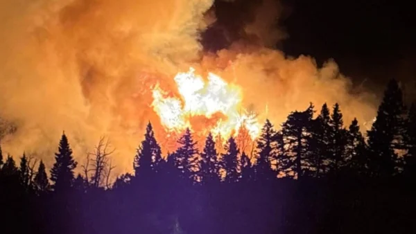 Wildfire