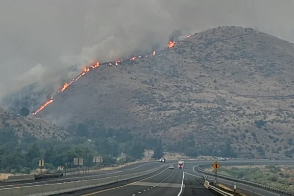 Wildfire