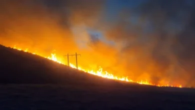 Wildfire