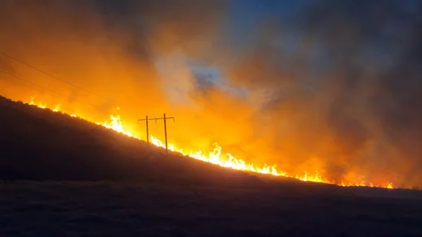 Wildfire