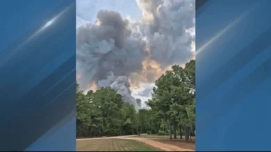 Wildfire