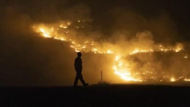 Wildfire