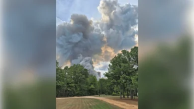 Wildfire