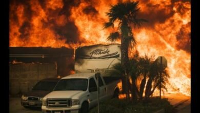 Wildfire