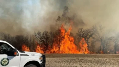Wildfire