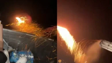 Wildfire