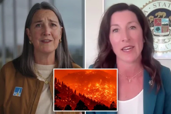 Wildfire