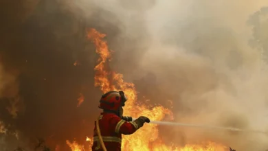 Wydawało się, że już jest dobrze. Znowu wybuchł pożar lasów. Są ofiary 3 Wydawało się, że już jest dobrze. Znowu wybuchł pożar lasów. Są ofiary