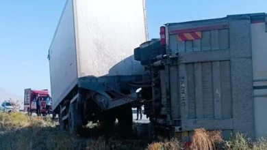 Yola çıkan eşek kazaya neden oldu: 2 yaralı