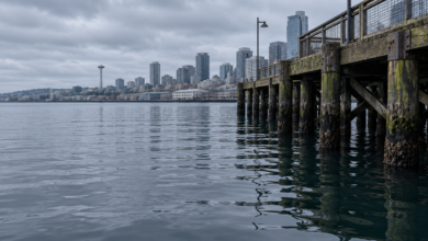 Person Reported in Water Under Alaskan Way Pier in Seattle, Washington 1 Person Reported in Water Under Alaskan Way Pier in Seattle, Washington