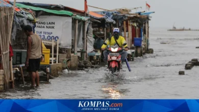 7 Wilayah Pesisir Utara Jakarta Terancam Banjir Rob 13-14 dan 25-31 Oktober
