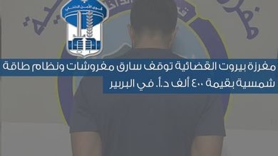 سجّادات وبطاريات ليثيوم وتحف.. تفاصيل سرقة بـ 400 ألف دولار 4 سجّادات وبطاريات ليثيوم وتحف.. تفاصيل سرقة بـ 400 ألف دولار