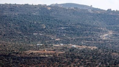 فلسطينيون يشتكون من هجوم مستوطنين على محاصيلهم الزراعية في قرى في الضفة الغربية المحتلة 9 مشهد من قرية أوصرين على تلة مرتفعة عليها عدد كبير من الأشجار، وهناك عدد من المباني. الصورة التقطت نهاراً.