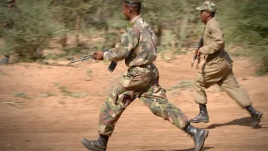Nine police officers and security personnel killed in shooting in southern Ethiopia