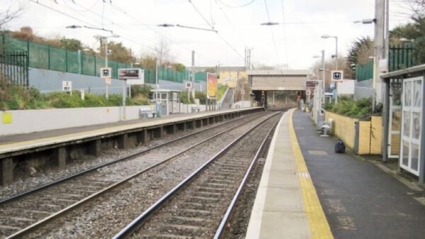 Person in Mülltonne gesteckt und auf DART-Gleise in Dublin geschoben