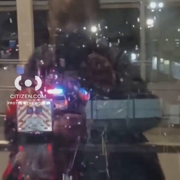 Selma Blair video report: FBI investigates alleged assault on Delta flight at JFK