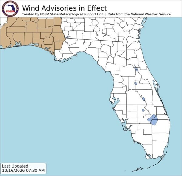 Florida Panhandle Wind Advisory: Gusts Up to 40 MPH Expected