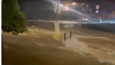 Video: Severe Flooding Hits Port-de-Bouc, France, After Up to 129 mm of Rain 2 Video: Severe Flooding Hits Port-de-Bouc, France, After Up to 129 mm of Rain