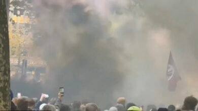 Smoke Bombs Reported at Hamburg Protest in Germany as Riot Police Gather – Video