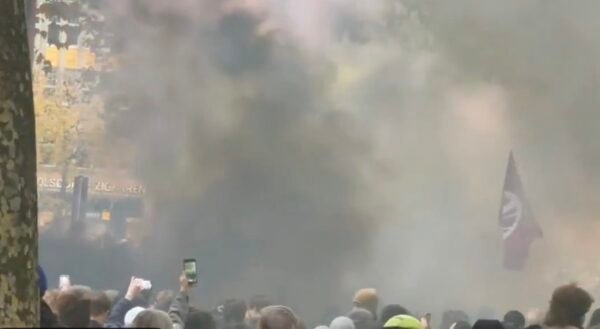 Smoke Bombs Reported at Hamburg Protest in Germany as Riot Police Gather – Video