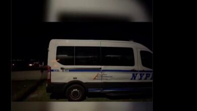 Woman, 28, Stabbed While Jogging in Brooklyn, New York, Left Critical – Video 2 Woman, 28, Stabbed While Jogging in Brooklyn, New York, Left Critical – Video