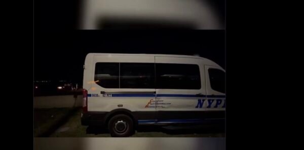 Woman, 28, Stabbed While Jogging in Brooklyn, New York, Left Critical – Video 1 Woman, 28, Stabbed While Jogging in Brooklyn, New York, Left Critical – Video