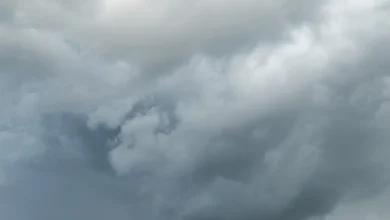 Allerta meteo gialla per vento e stato del mare dalla mezzanotte di oggi, sabato 31 ottobre 1 Immagine di repertorio per: Allerta meteo gialla per vento e stato del mare dalla mezzanotte di oggi, sabato 31 ottobre