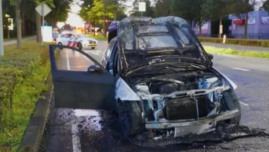 Auto vliegt tijdens het rijden in brand in Den Bosch