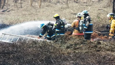 Illustratiebeeld bij: Bestelbus in brand gestoken aan Coniferenstraat in Zaandam