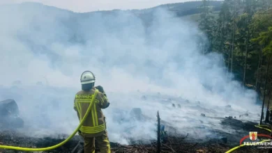 Brand am Eisenberg: Nutzfeuer gerät außer Kontrolle