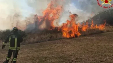 Civitavecchia, ancora un grosso incendio: fiamme in via Moneta, salvate le case