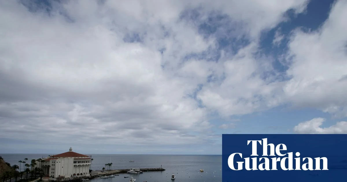 divers find body