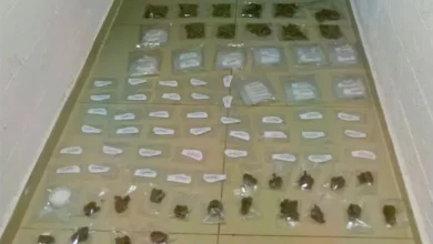 من عكار إلى البترون.. الجيش يوقف 153 سورياً ومواطنين ومروّج مخدرات