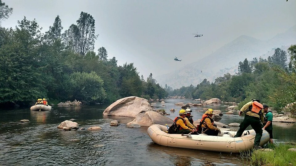 Fire Rescue Calls