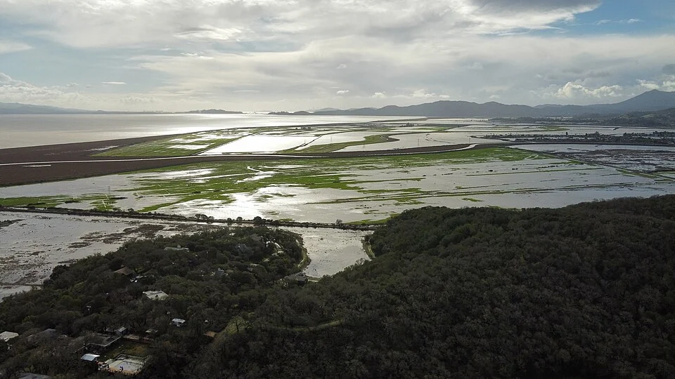 Flood Watch Effect