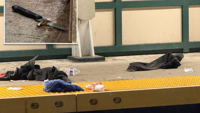 Man fatally stabbed in unprovoked attack on J train in Queens