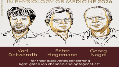 Nobel per la Medicina 2026 a Karl Deisseroth, Peter Hegemann e Georg Nagel