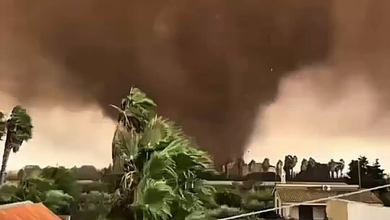 إعصار في مارسالا الإيطالية يرفع سيارات في الهواء – فيديو 14 إعصار في مارسالا الإيطالية يرفع سيارات في الهواء – فيديو