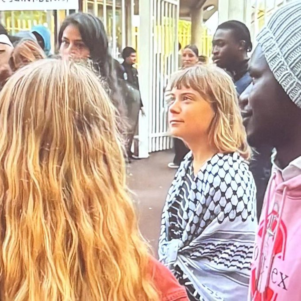Greta Thunberg reportedly joins school protests in France
