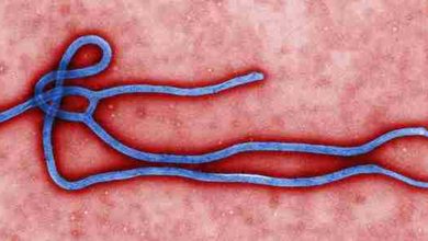Kenya Confirms Ninth Ebola Case, All Linked to One Cluster