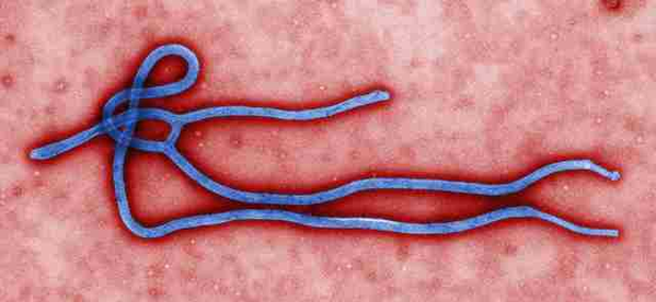 Kenya Confirms Ninth Ebola Case, All Linked to One Cluster
