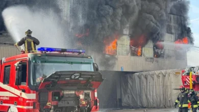 Incendio doloso nella notte: cinque mucche morte per asfissia e 600 quintali di fieno in fumo