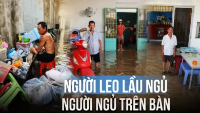 Khổ sở vì nước ngập từ chiều tới sáng ở TP.HCM: Người ngủ trên bàn, người phải rời nhà