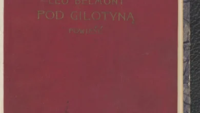 Przemówił pod Trybunałem, chwilę później doszło do zatrzymania. Nagrania ujawniają, co stało się naprawdę
