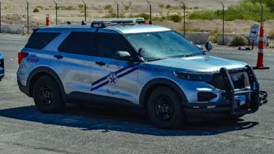 Roma, nel cellulare aveva le istruzioni su come preparare bombe: anarchico arrestato