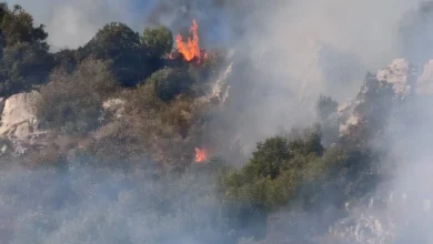 Solofra. Incendio in località Castelluccia sul Monte Pergola 4 Solofra. Incendio in località Castelluccia sul Monte Pergola